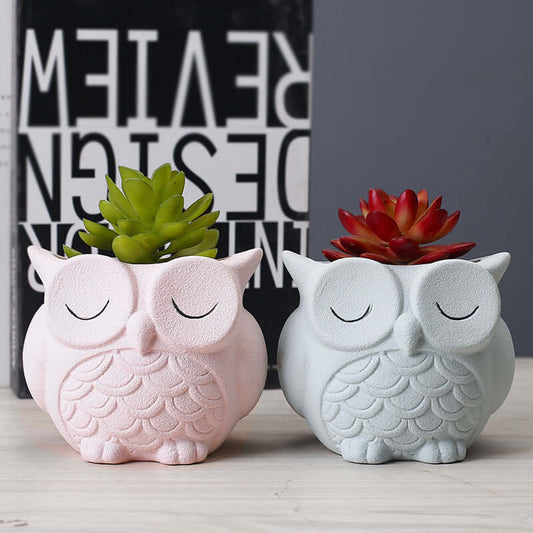 Cute Owl 🦉 Flower Pot - Ceramic Indoor Creative Small Desktop Flower Ornaments