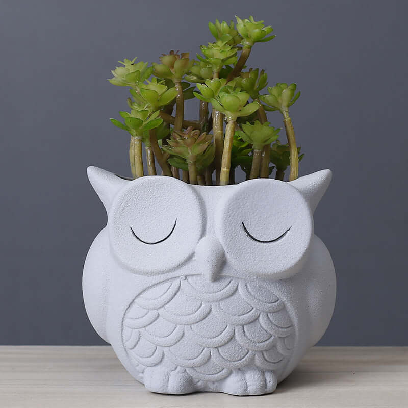 Cute Owl 🦉 Flower Pot - Ceramic Indoor Creative Small Desktop Flower Ornaments