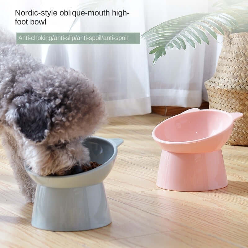 Smart Design Elevated Pet Feeding Bowl with Tilted Neck Protection, Anti-Tip Plastic Bowl Food & Water 🦮🐈