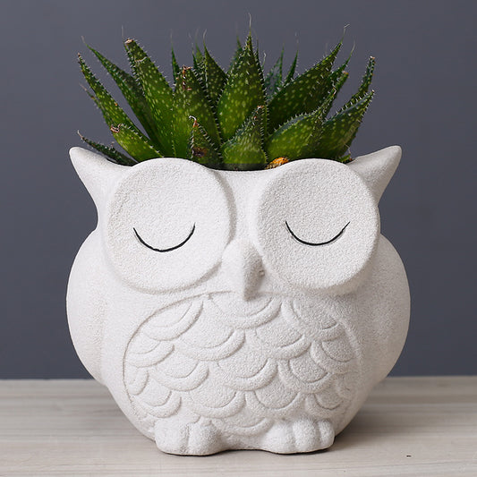 Cute Owl 🦉 Flower Pot - Ceramic Indoor Creative Small Desktop Flower Ornaments