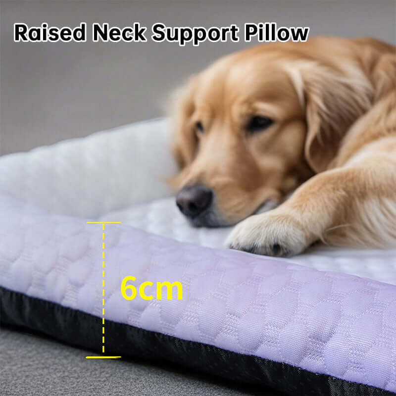 Cooling PET Pad for Summer – Breathable Cold‑Silk Ice Mat, Gentle on Skin, Gradient Colors 🦮🐈‍⬛️