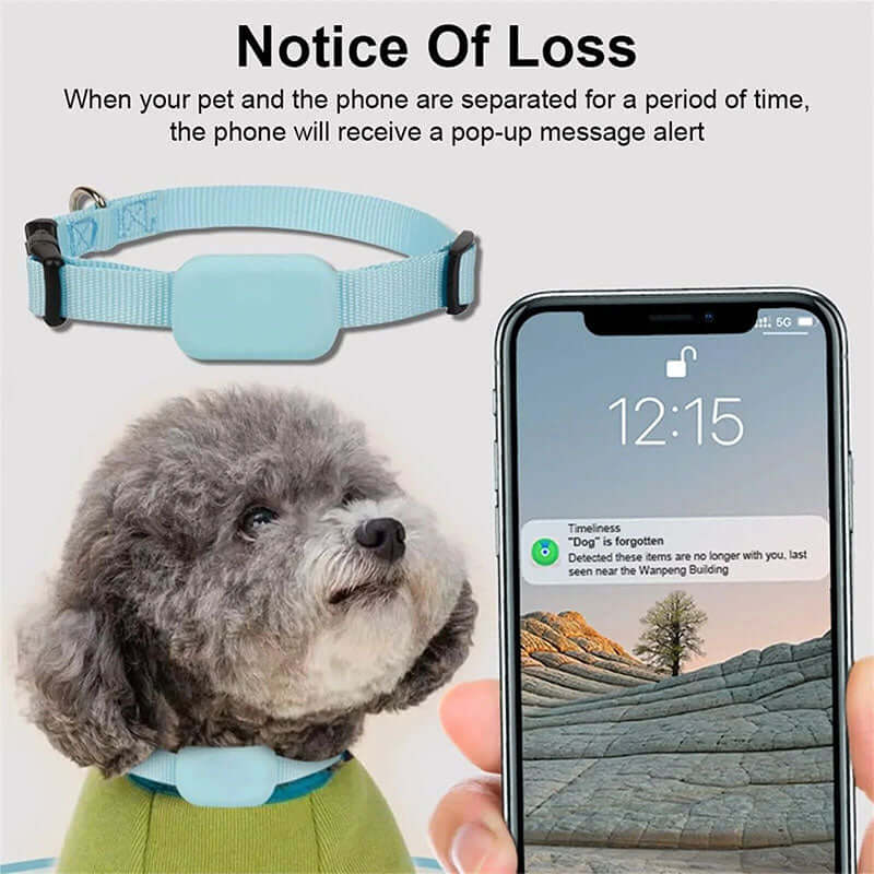 Real-Time GPS Pet Tracker - Long-Range Global Capability Waterproof Collar with Activity Alert, Compatible with Apple's Free Find My network