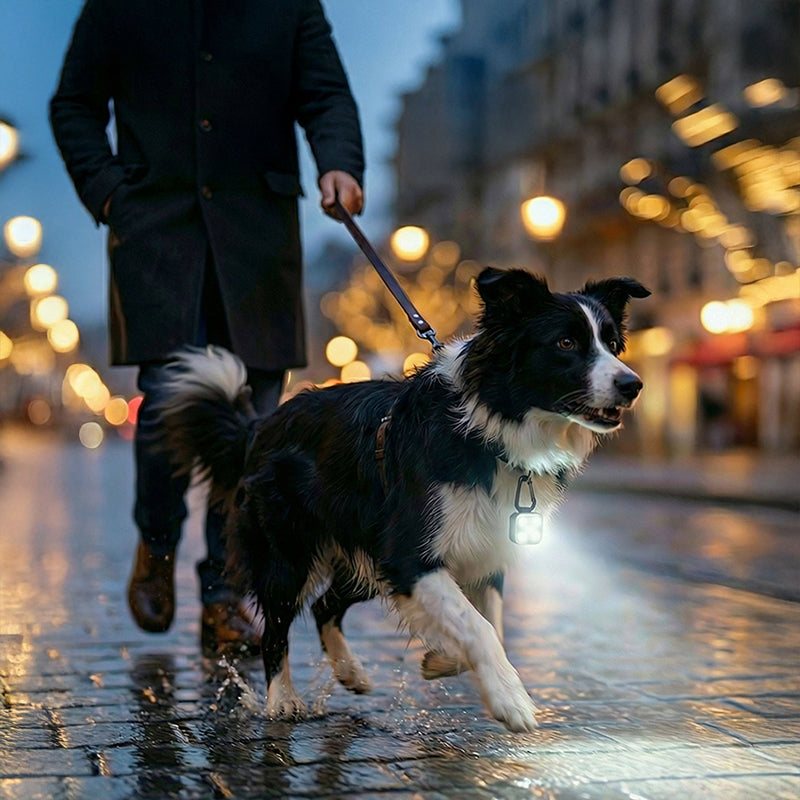 Rechargeable 3-Mode LED Glow Pet Safety Collar 🦮😻