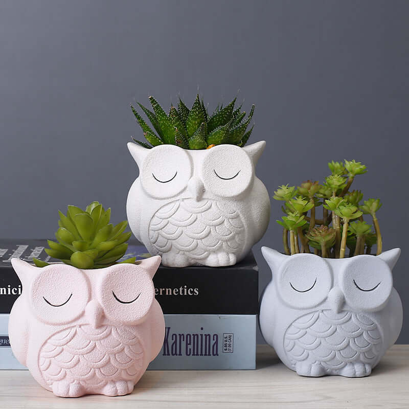 Cute Owl 🦉 Flower Pot - Ceramic Indoor Creative Small Desktop Flower Ornaments