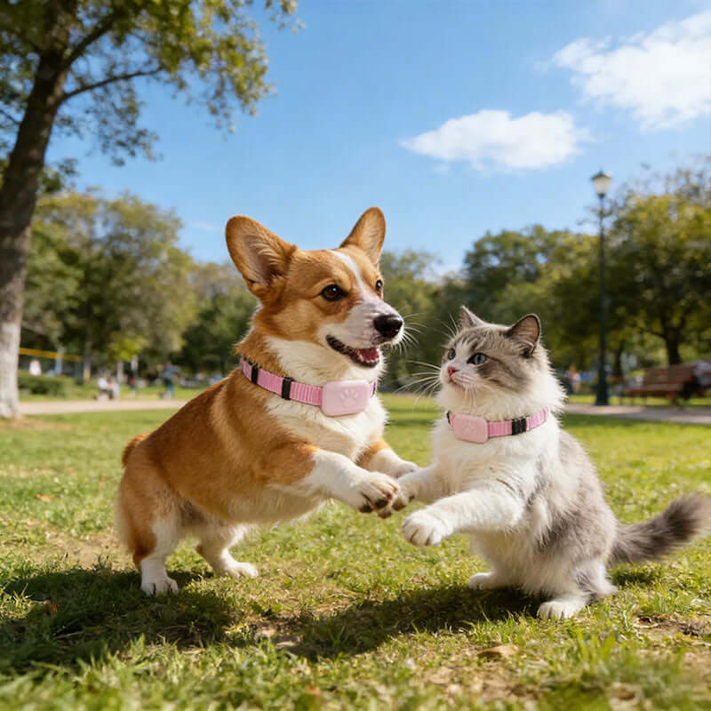 Real-Time GPS Pet Tracker - Long-Range Global Capability Waterproof Collar with Activity Alert, Compatible with Apple's Free Find My network