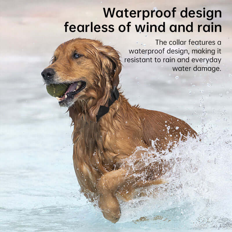 Real-Time GPS Pet Tracker - Long-Range Global Capability Waterproof Collar with Activity Alert, Compatible with Apple's Free Find My network