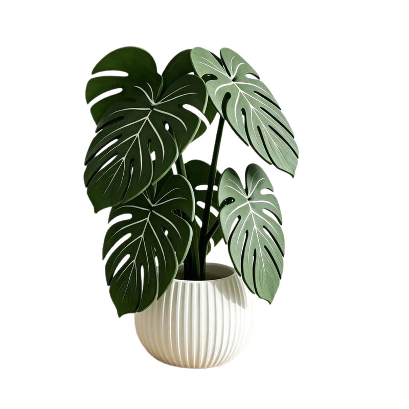 3D Printed Monstera Plant-Vase-Leaf Coaster Set 💝