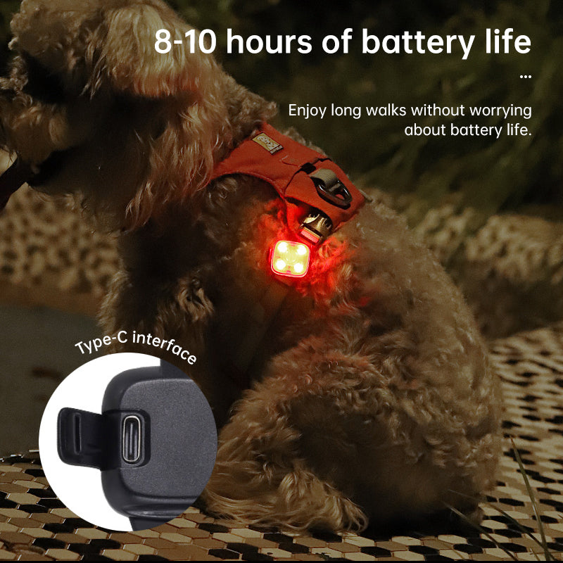 Rechargeable 3-Mode LED Glow Pet Safety Collar 🦮😻