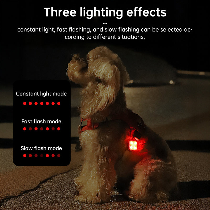 Rechargeable 3-Mode LED Glow Pet Safety Collar 🦮😻