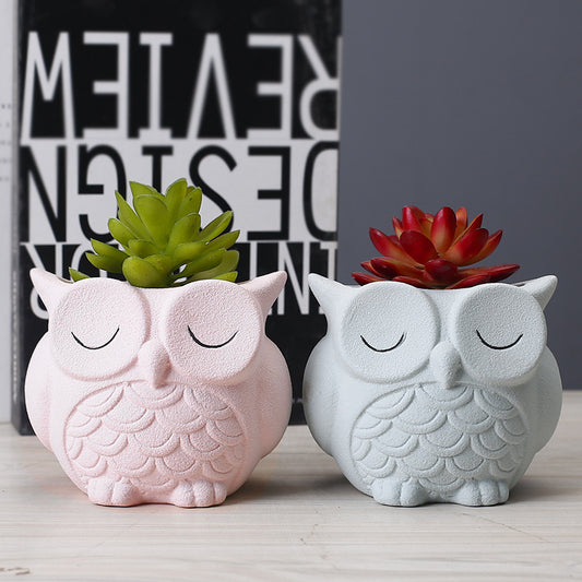 Cute Owl 🦉 Flower Pot - Ceramic Indoor Creative Small Desktop Flower Ornaments