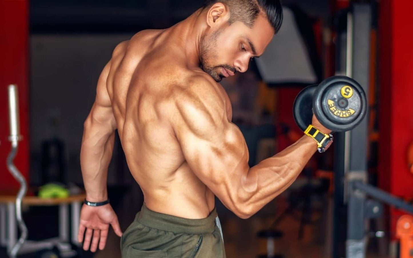 Topseat Creatine Powder