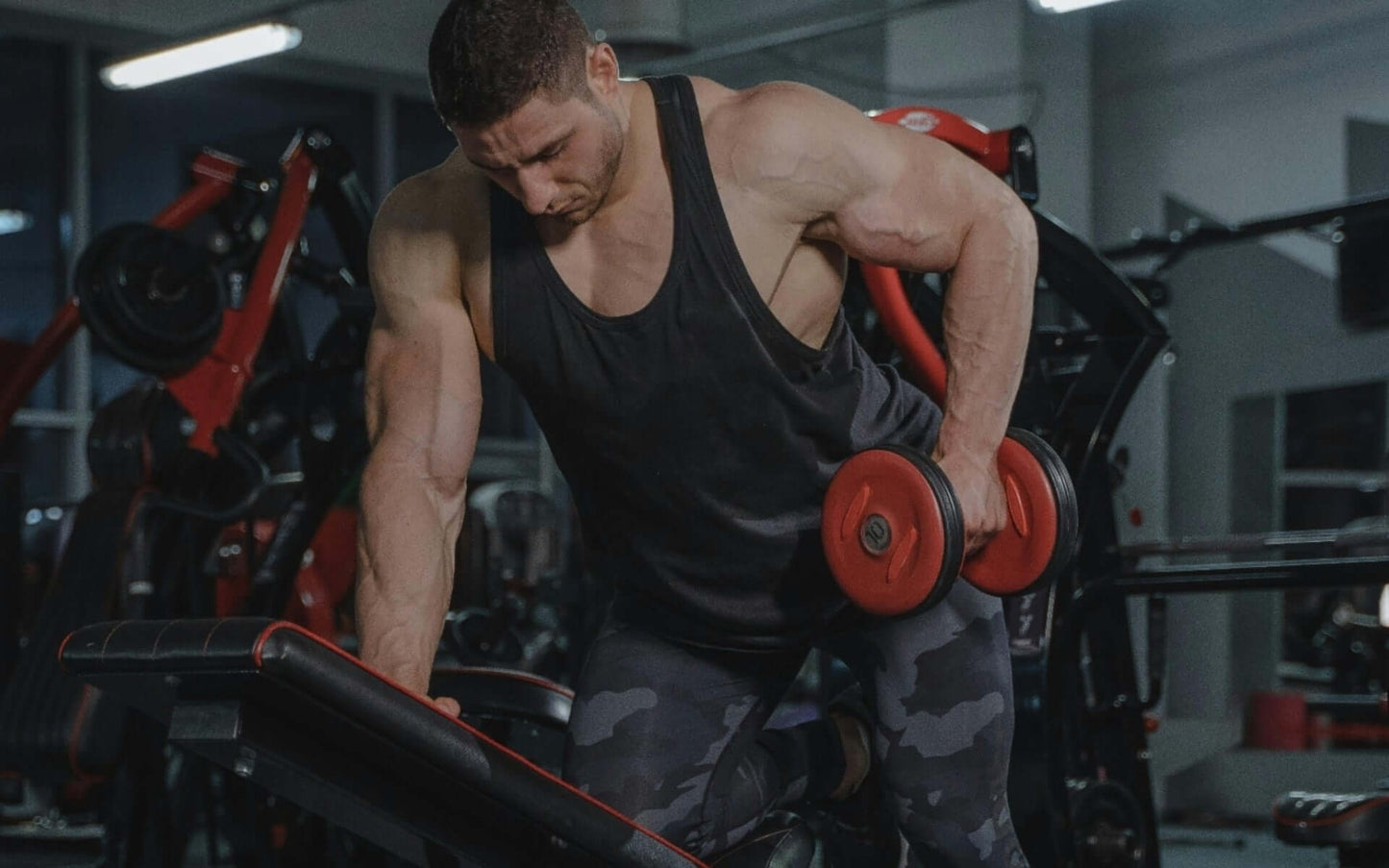 Topseat Creatine Powder