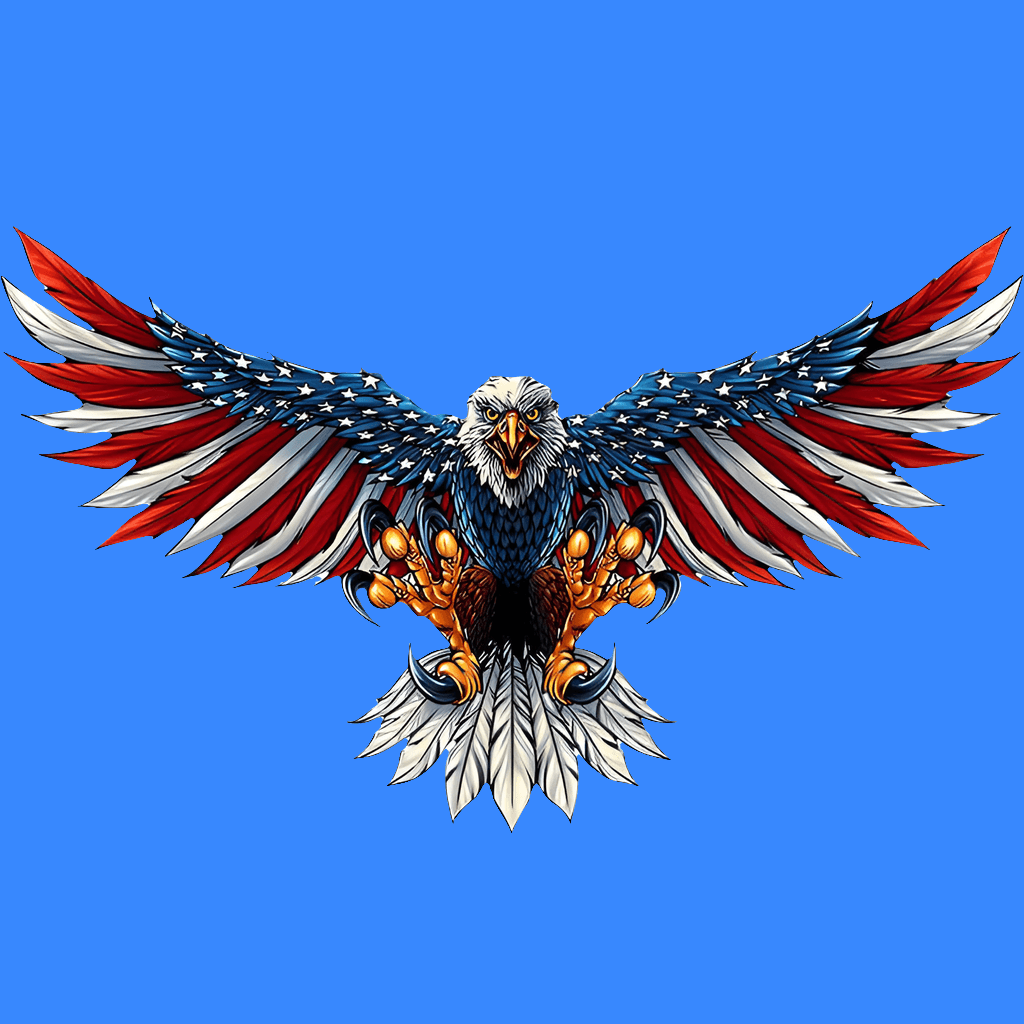 Home Decor Stylings❗American Flag Eagle Metal Ornament 🇺🇲