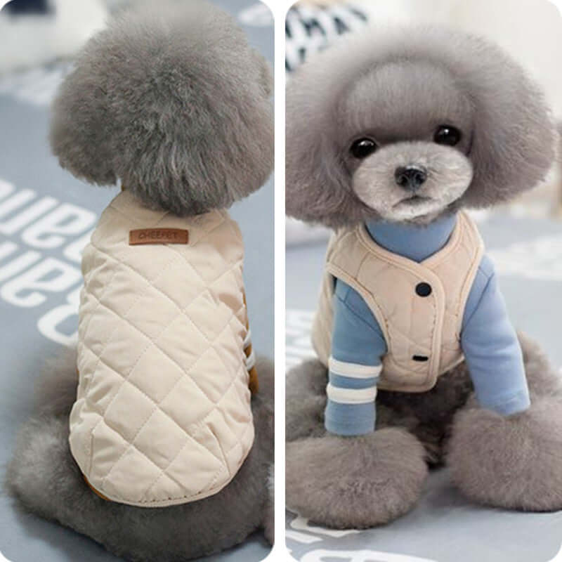 Amazon Vest Pet Clothes Autumn and Winter