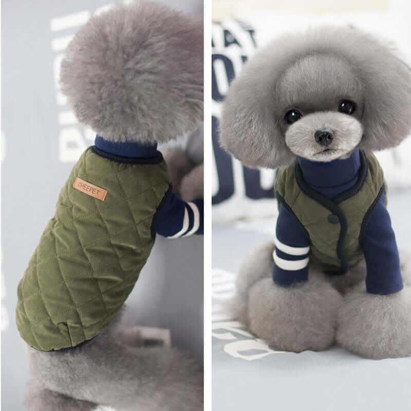 Amazon Vest Pet Clothes Autumn and Winter