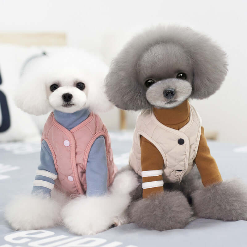 Amazon Vest Pet Clothes Autumn and Winter