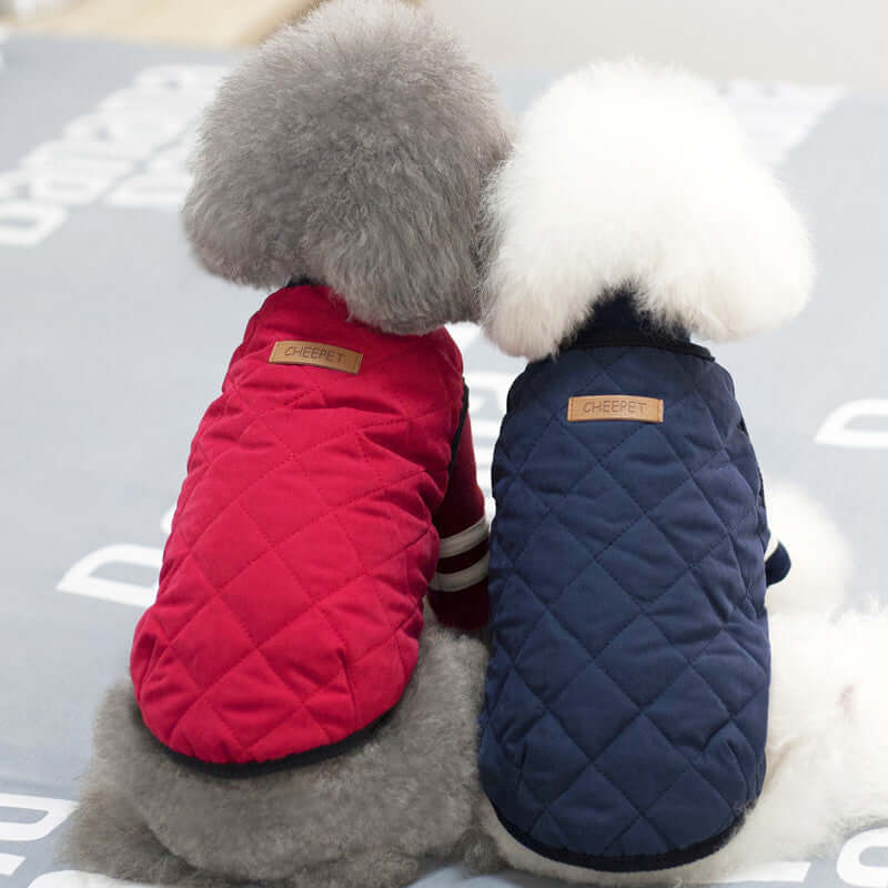 Amazon Vest Pet Clothes Autumn and Winter