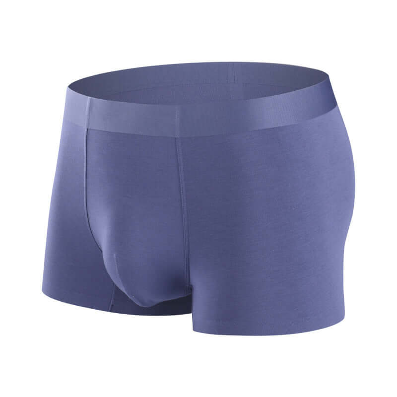 Explosive Trend: Wholesale Men's Modal Underwear