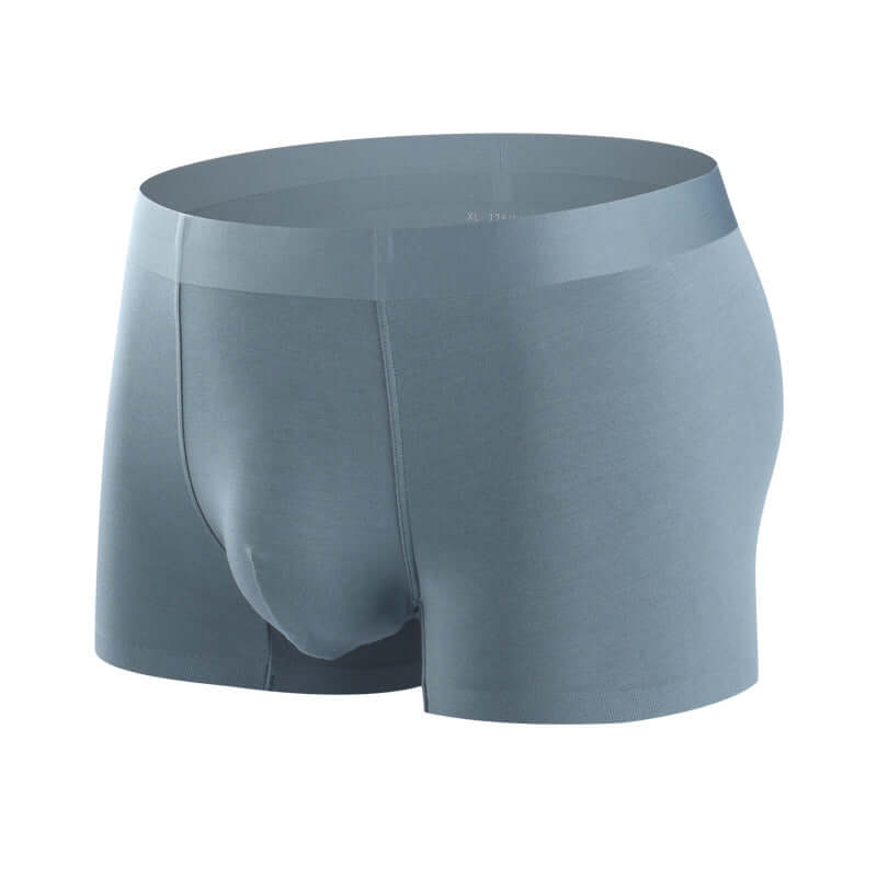 Explosive Trend: Wholesale Men's Modal Underwear