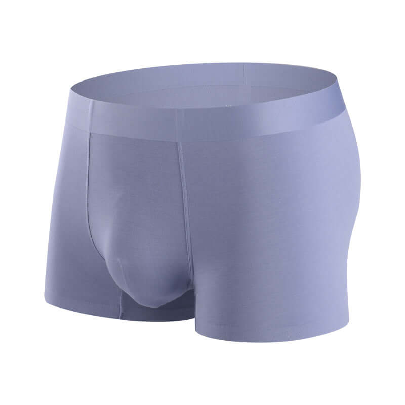 Explosive Trend: Wholesale Men's Modal Underwear