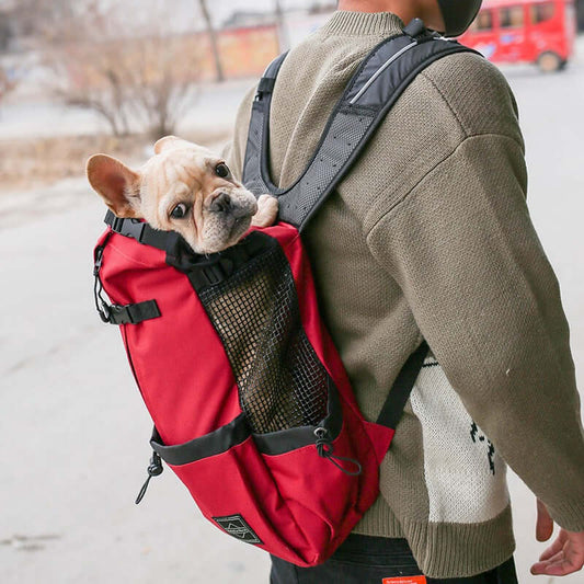 Pet Dog Carrier/ Backpack Portable Double Straps