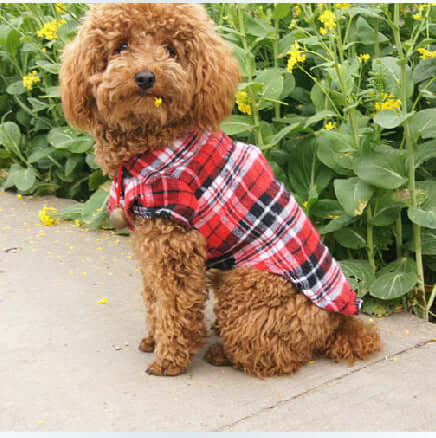 Dog Clothing Trendy Plaid