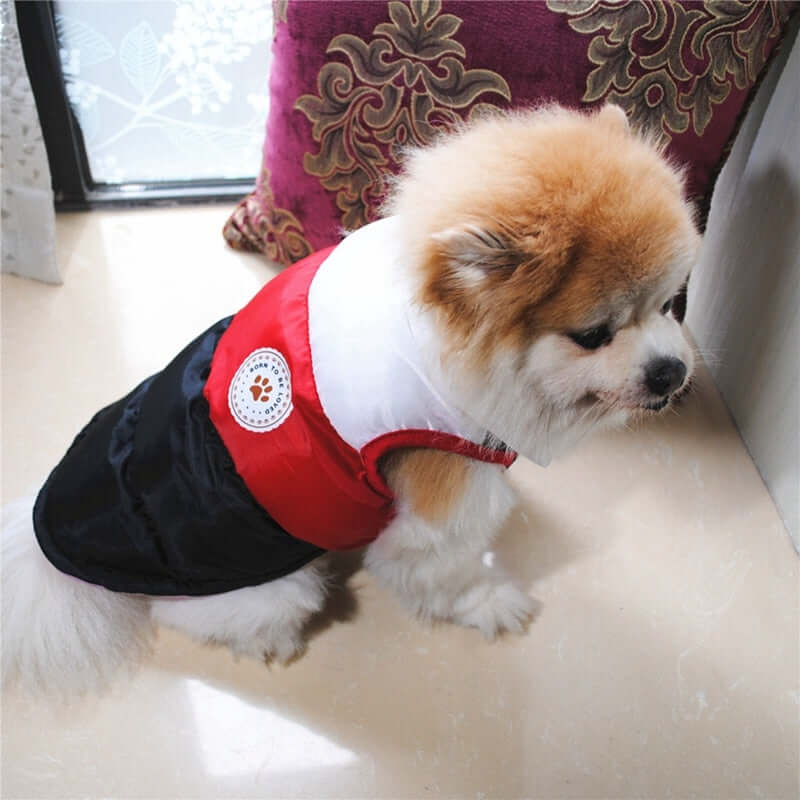 Waterproof Dog Jacket Multi Colors