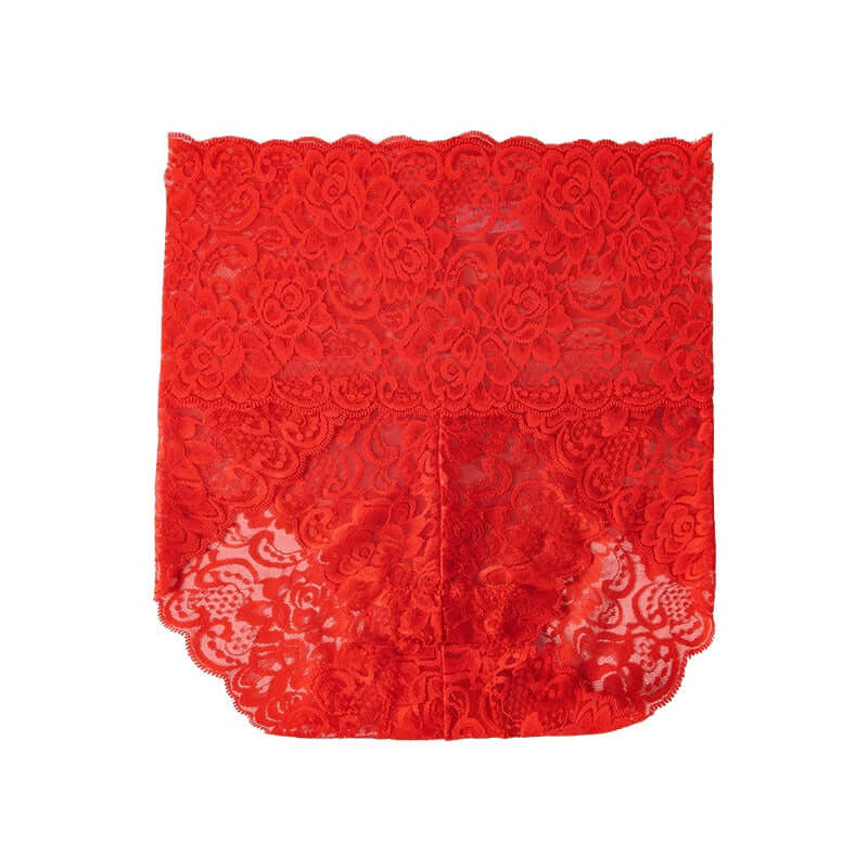 High-Waisted Lace Panties | Plus-Size Sexy Underwear