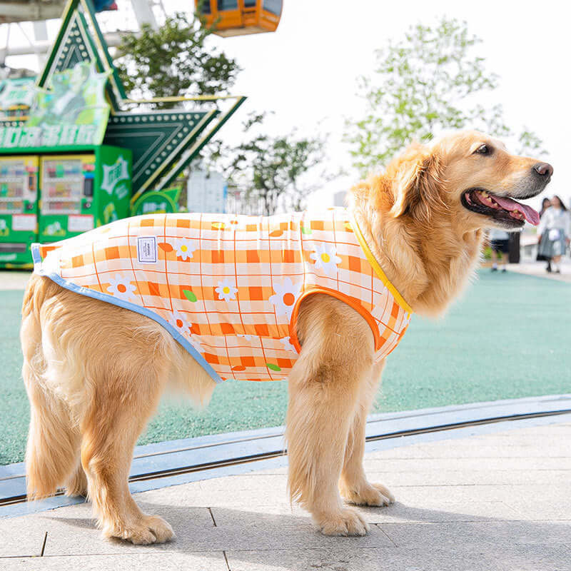 Big Dog Summer Fashion Printed Vest