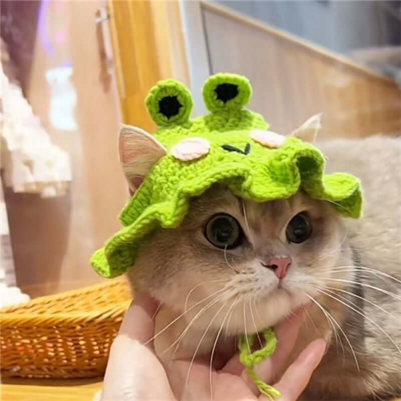 Cat Hat Pet Dress Up-Teddy Dog Frog Flower Ruffled Maid Hat