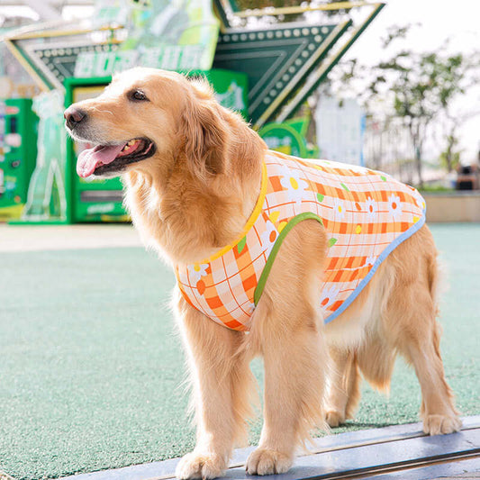 Big Dog Summer Fashion Printed Vest