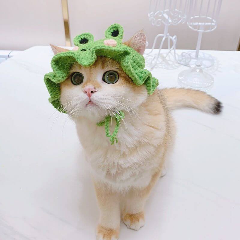 Cat Hat Pet Dress Up-Teddy Dog Frog Flower Ruffled Maid Hat