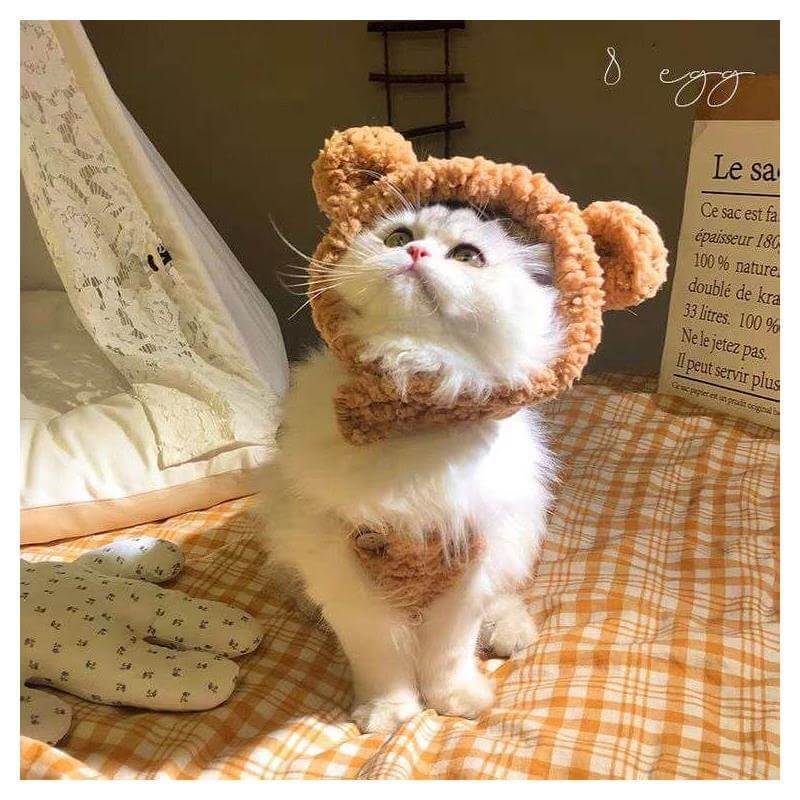 Pet Plush Kitty Headgear