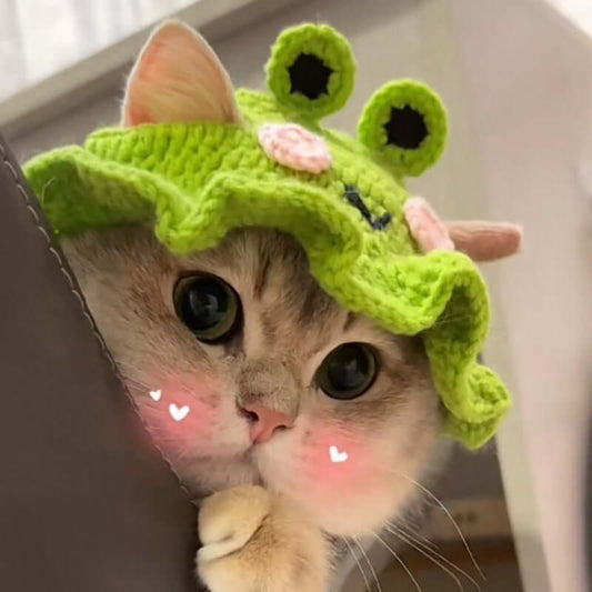 Cat Hat Pet Dress Up-Teddy Dog Frog Flower Ruffled Maid Hat