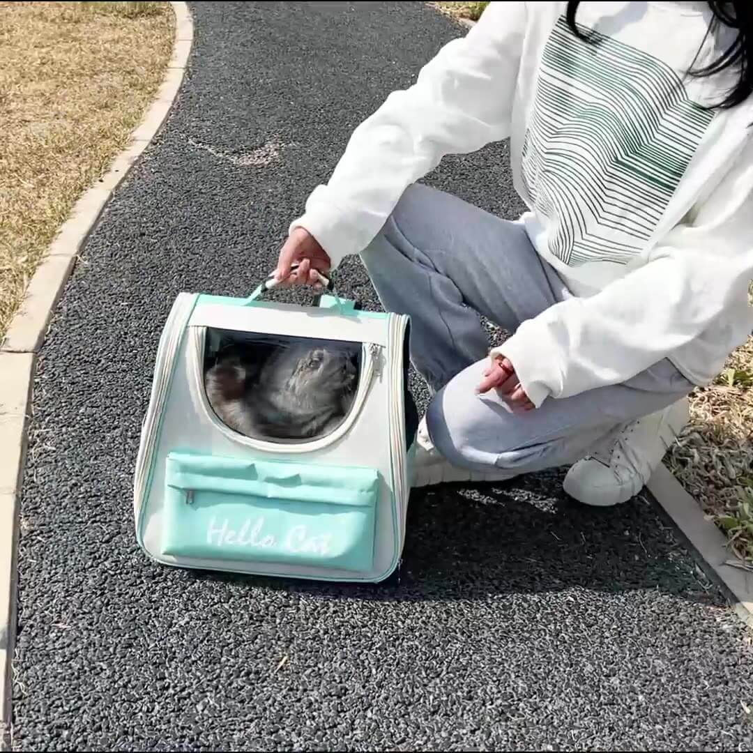 Convenient Portable Pet Carry Pack