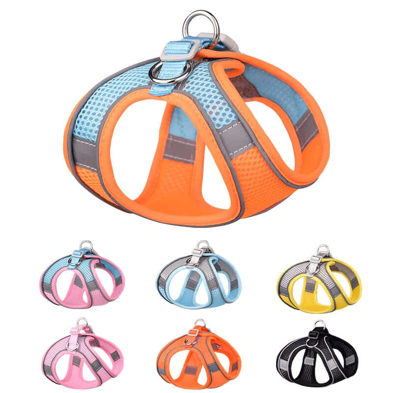 Trendy Colors Pet Vest / Harness w/ Leash