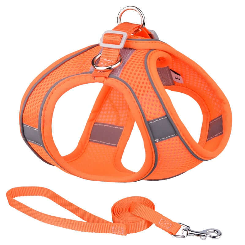 Trendy Colors Pet Vest / Harness w/ Leash