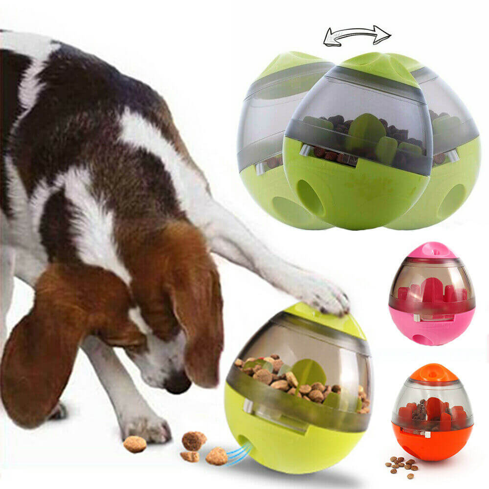 Rolly Fun Pet Feeder- Reward Snacks